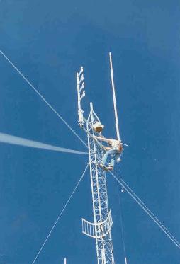 Vaca Rx antenna